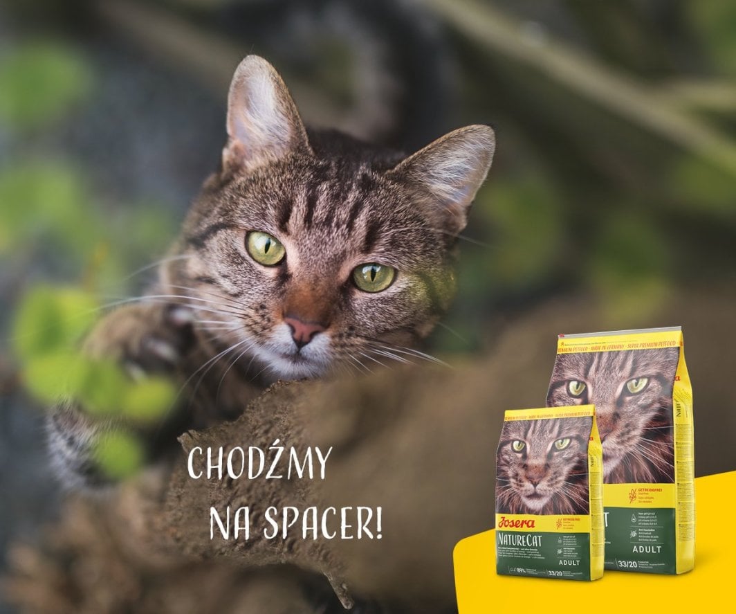Josera NatureCat | غذای خشک نیچر کت جوسرا - اورجینال + با ضمانت اصالت